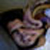 :iconleoignacio: