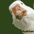 :iconleolarcher: