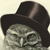 :iconleoleo223: