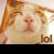 :iconleolima: