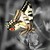 :iconleona-lucie: