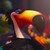 :iconleonardo199: