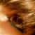 :iconleonetta: