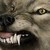 :iconleongelo: