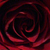 :iconleonheart756: