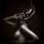 :iconleonine83: