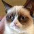 :iconleonka98:
