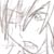 :iconleonskey: