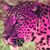 :iconleopard-loving-print: