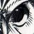 :iconleopardes: