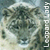 :iconleopardlady: