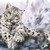 :iconleopardlover13: