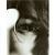 :iconleopardprint007: