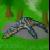 :iconleopluridon:
