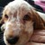 :iconleowiltshire: