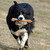 :iconlephyr:
