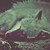 :iconleprodush: