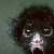 :iconler-zero: