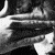 :iconleryuhazy0u: