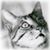 :iconleryversay:
