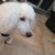 :iconlesandfluff: