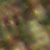 :iconlestatdoll: