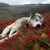 :iconlet-the-flames-burn: