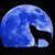 :iconletapindrop: