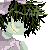 :iconlethargicpineapple: