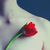 :iconletlin: