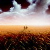 :iconleto-xd: