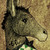 :iconletshopeso: