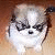 :iconleucosia: