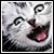 :iconlevel20x6: