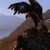 :iconlevent333: