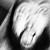 :iconleviboldock: