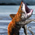 :iconlevwolf:
