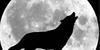 :iconlewolfloversx3: