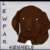 Lewpar-Kennels :iconlewpar-kennels: