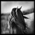 :iconlexicorn9: