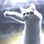 :iconlexie266: