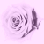:iconlexiep11: