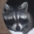 :iconLexsCafe: