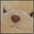 :iconLexTalionis502: