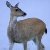 :iconlexyphotos: