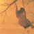 :iconleyna-j:
