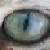 :iconlfangirl148: