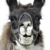 :iconlhama-chan: