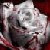 :iconlhena2: