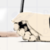 :iconli328: